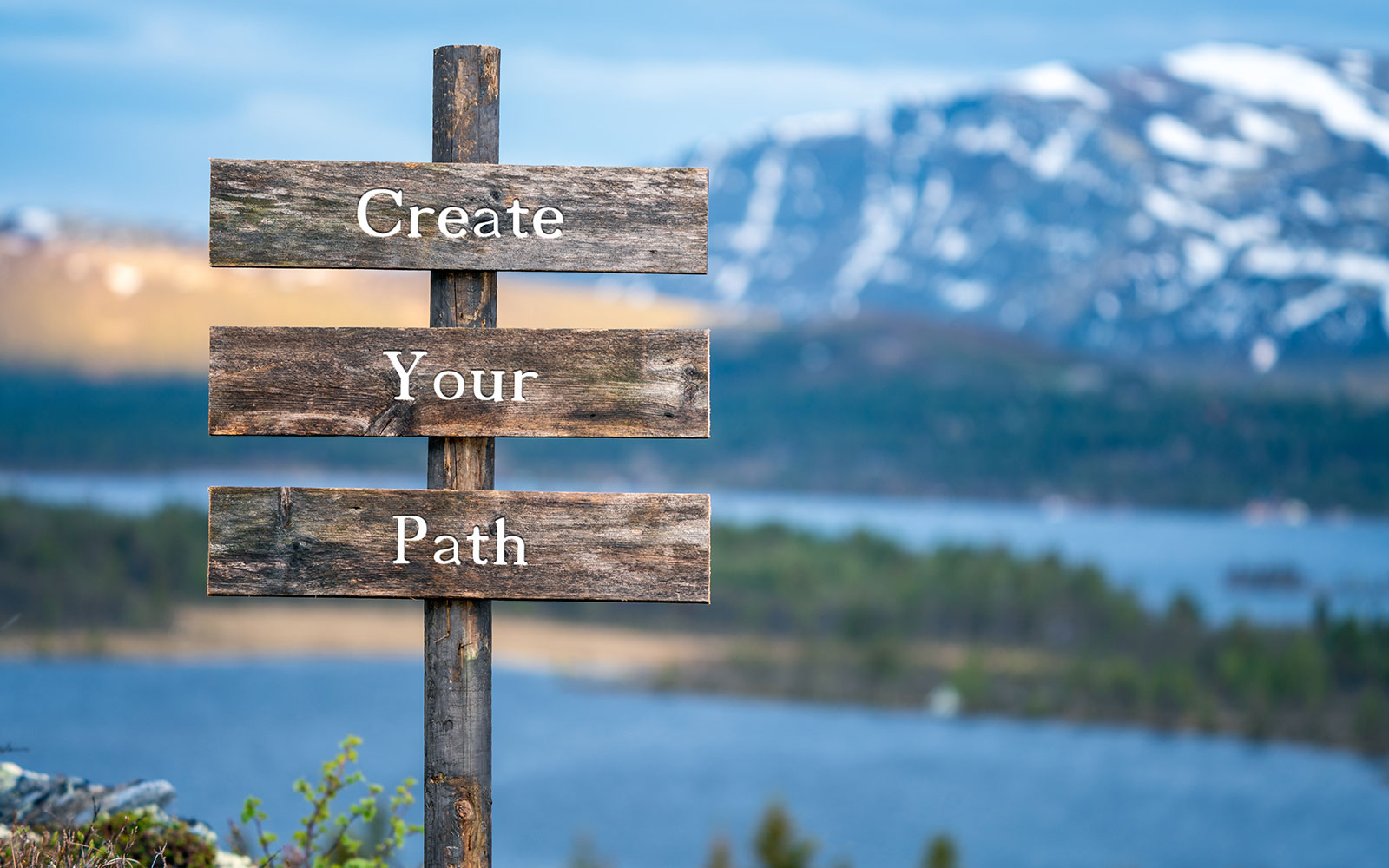 Life Coaching